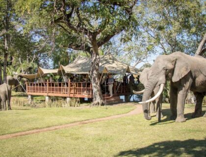 Jet boat extreme to Elephant cafe at Victoria Falls