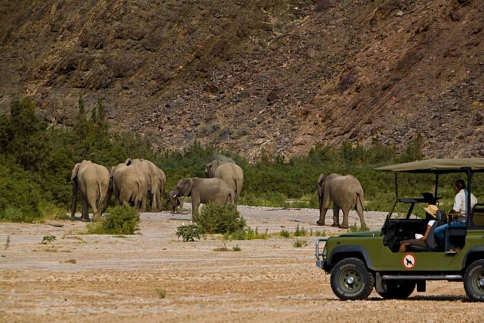 Cedarberg Travel | Okahirongo Elephant Lodge