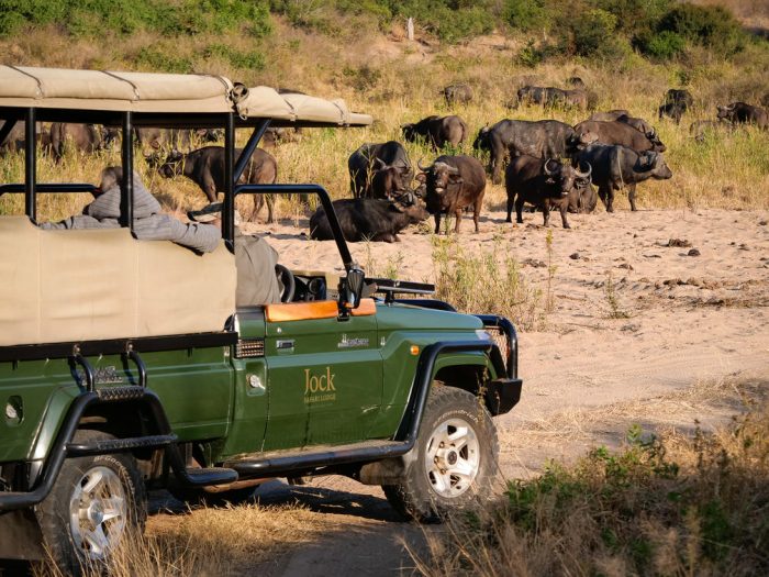 Cedarberg Travel | Kruger Safari & Mozambique Beach Retreat