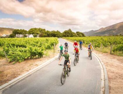 wine tour with cycling