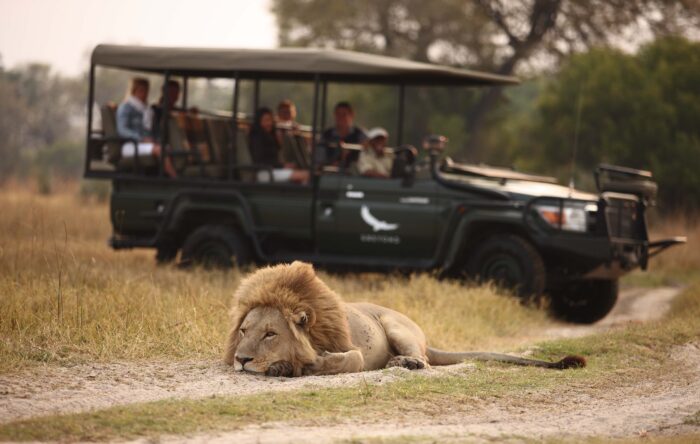 Cedarberg Travel | Fly Around Botswana Safari Offer