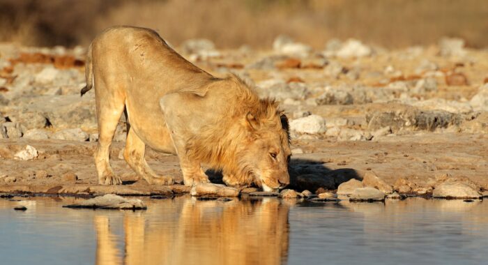 Cedarberg Travel | Namibia Explorer Self-Drive Tour to Victoria Falls