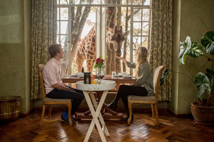 Cedarberg Travel | Giraffe Manor