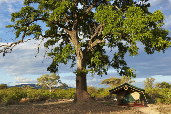 Cedarberg Travel | Mdonya Old River Camp