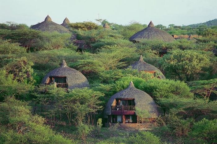 Cedarberg Travel | East African Exploration to Kenya & Tanzania