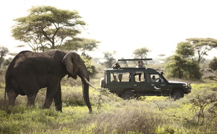 Cedarberg Travel | andBeyond Grumeti Serengeti Tented Camp