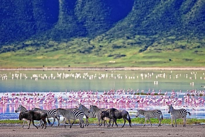 Cedarberg Travel | Hidden Tanzania with Lake Natron