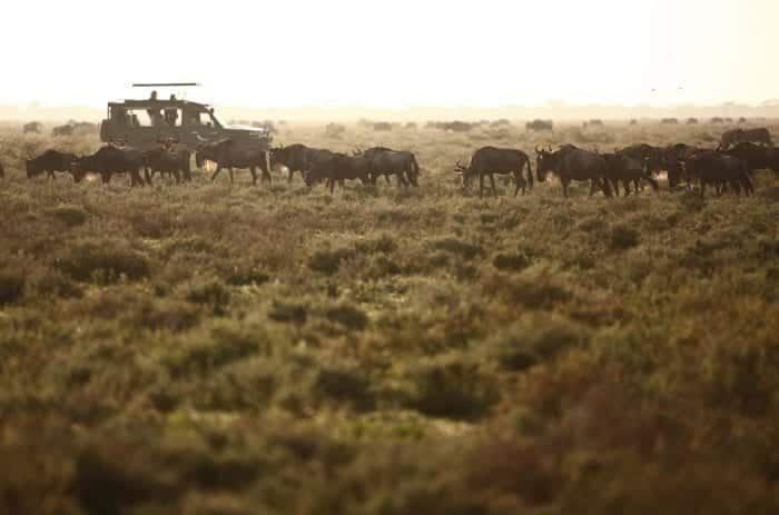 Cedarberg Travel | andBeyond Serengeti Under Canvas