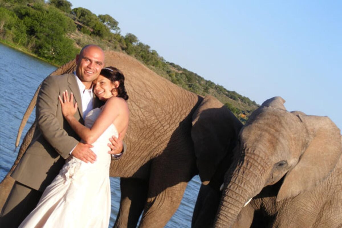 Buffelsdrift Game Lodge - Elephant Wedding - 15