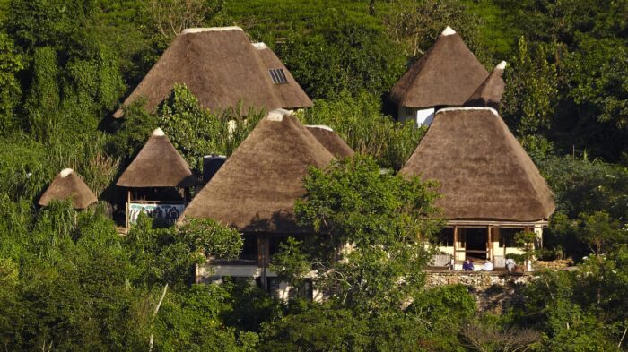 Cedarberg Travel | Bwindi Safari Lodge
