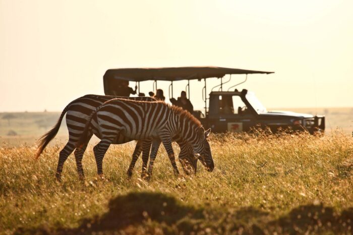 Cedarberg Travel | Best of Both Worlds Fly-In Safari