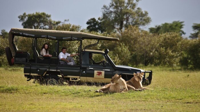 Cedarberg Travel | Best of Both Worlds Fly-In Safari