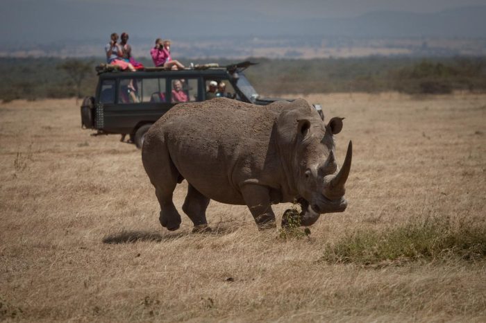 Cedarberg Travel | Solio Lodge