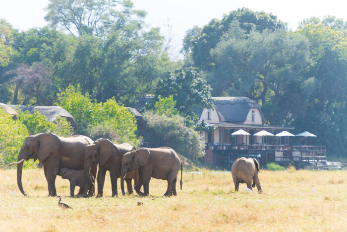 Cedarberg Travel | Royal Zambezi Lodge
