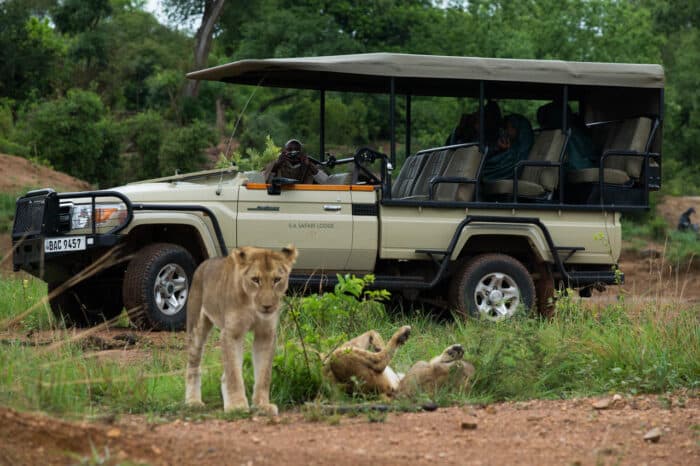 Cedarberg Travel | Ila Safari Lodge