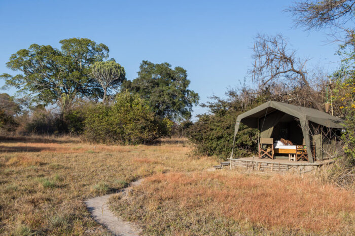 Cedarberg Travel | Ntemwa-Busanga Camp