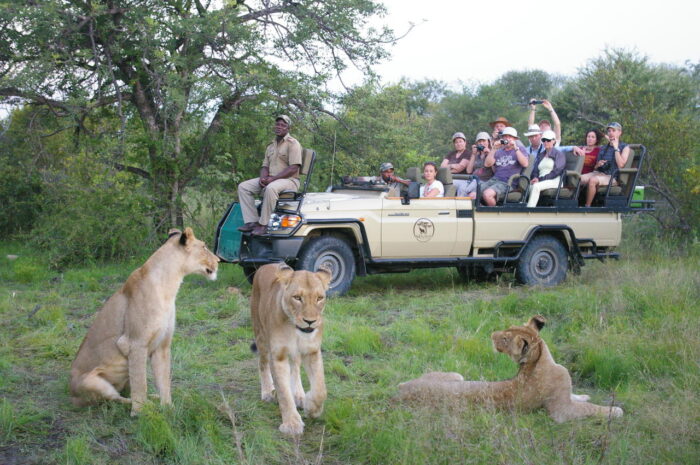 Cedarberg Travel | Mohlabetsi Safari Lodge
