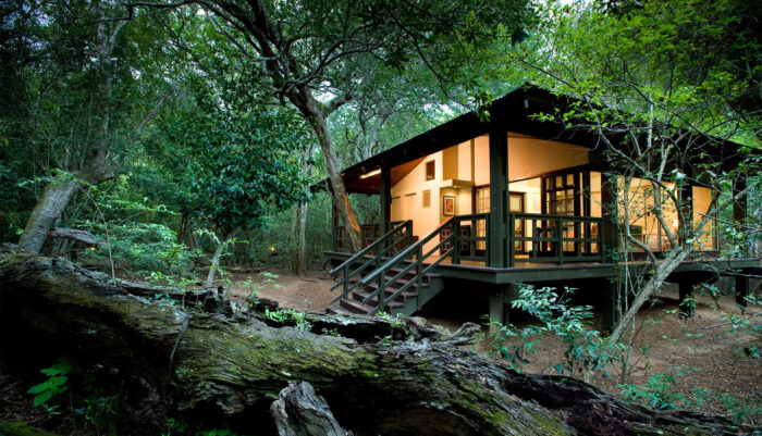 Cedarberg Travel | andBeyond Phinda Forest Lodge