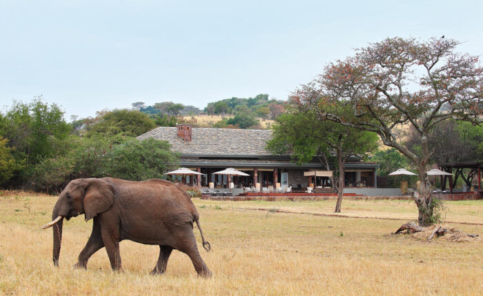 Cedarberg Travel | Singita Serengeti House