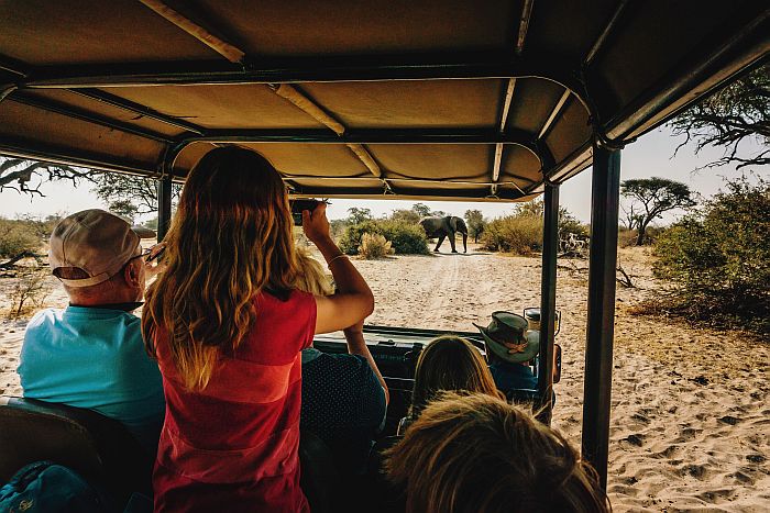 Family holidays in Africa at Easter, Easter family safari ideas