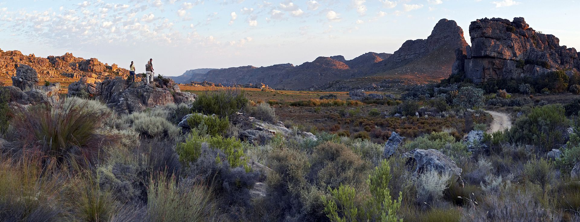 Cederberg Mountains | Cederberg Wilderness | Cedarberg Africa