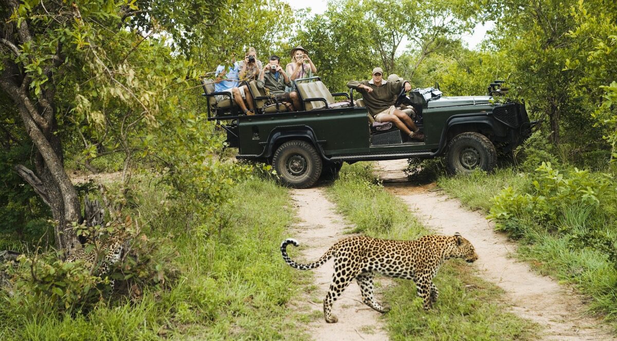 Green season safaris on a South African safari in the Kruger