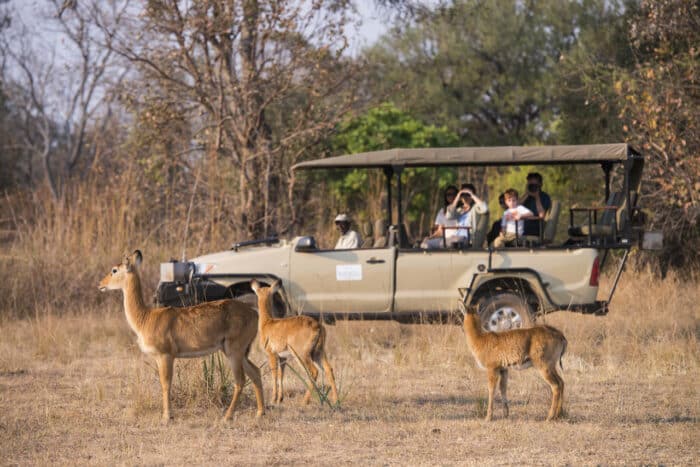 Cedarberg Travel | Kaingu Safari Lodge