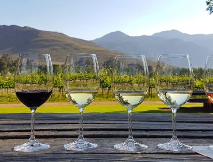 Wine-tasting in Cape Winelands hotels