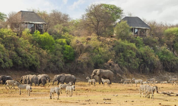 Cedarberg Travel | Botswana Community & Conservation Safari Offer