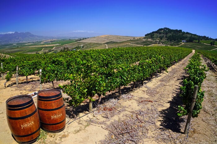 Cedarberg Travel | Jordan Wine Estate