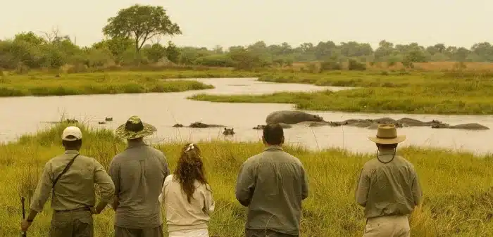 Cedarberg Travel | Atzaro Okavango Camp